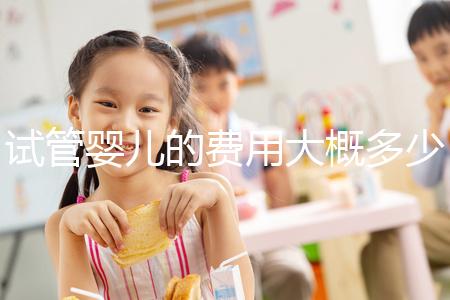 試管嬰兒的費(fèi)用大概多少錢(qián)?