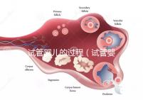 試管嬰兒的過程（試管嬰兒的過程步驟及時間）
