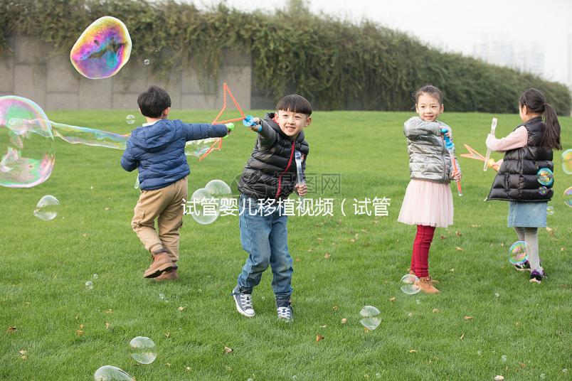 試管嬰兒移植視頻(試管嬰兒移植視頻播放真實(shí))