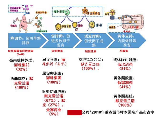 試管嬰兒優(yōu)胚培養(yǎng)囊胚風(fēng)險(xiǎn)特別大,逃不掉這3大原因