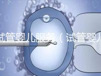 試管嬰兒服務(wù)(試管嬰兒服務(wù)公司合法嗎)