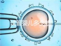 試管嬰兒多少錢