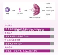 試管嬰兒胎停流產的原因剖析,胎停育與胎停孕大不同