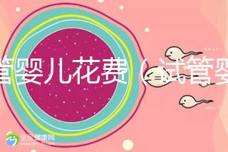 試管嬰兒花費（試管嬰兒花費多少錢？）