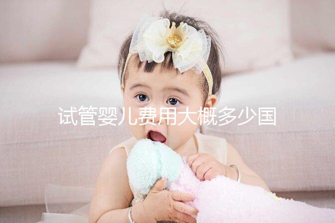試管嬰兒費(fèi)用大概多少國(guó)外的