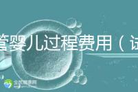 試管嬰兒過程費(fèi)用(試管嬰兒全過程費(fèi)用)