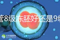試管8級凍胚好還是9級好進(jìn)來瞧,看完二者區(qū)別全明白