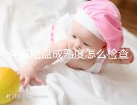 詳解胎盤成熟度怎么檢查、正常值是多少，附超聲報告解讀