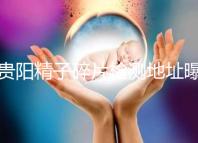 貴陽精子碎片檢測地址曝光，云巖區醫院能看完嗎？