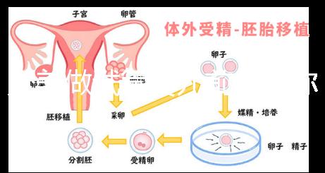 赴美做試管嬰兒前，教你如何攻破最難的“醫療簽證”！
