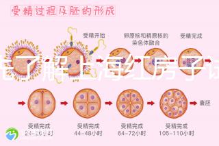 預(yù)先了解上海紅房子試管建檔流程,最快當(dāng)天可定方案