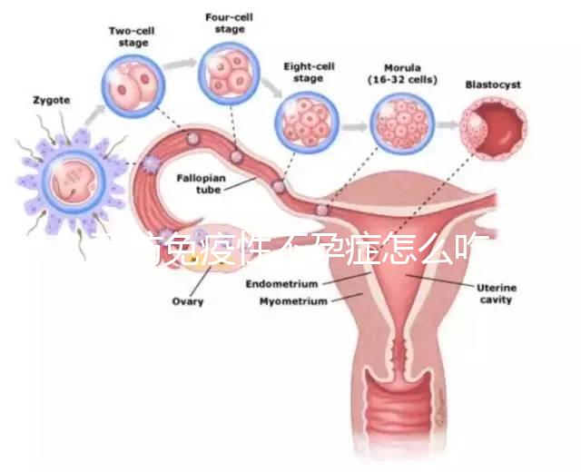 預(yù)防免疫性不孕癥怎么吃?