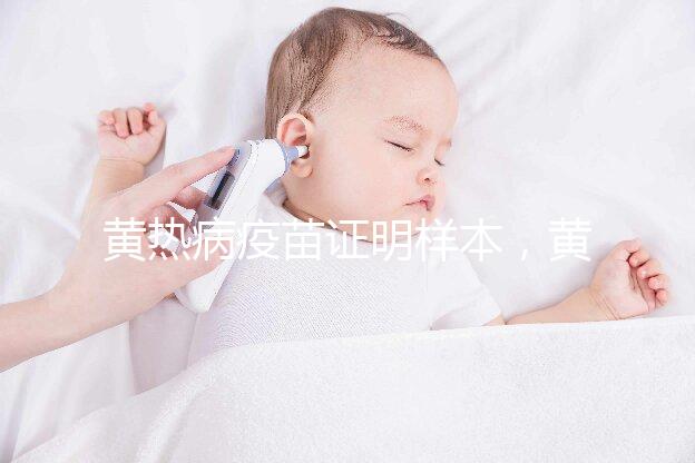 黃熱病疫苗證明樣本，黃皮書有效期10年附詳細辦理流程