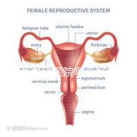 雞西男科醫(yī)院哪個好答案在這里?公立和私立各有優(yōu)勢
