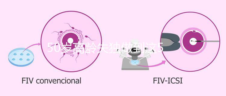 50歲高齡失獨(dú)做到這5點(diǎn),自然受孕率幾率也能很高!