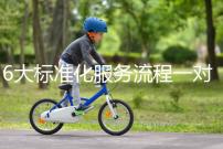 6大標(biāo)準(zhǔn)化服務(wù)流程一對一貼心服務(wù),全程中文陪同