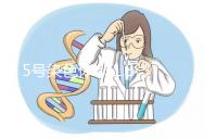 5號(hào)染色體q31.3微缺失綜合癥嚴(yán)重嗎？會(huì)怎么樣？