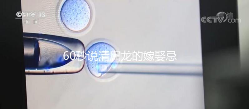 60秒說清屬龍的嫁娶忌的三個屬相,大師:十婚九不幸