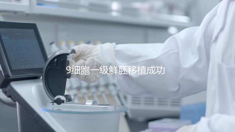 9細胞一級鮮胚移植成功率分析,和8細胞2級相比略遜一籌