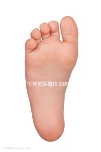 AFC預(yù)測生殖技術(shù)結(jié)果,不如實(shí)際了解竇卵泡計(jì)數(shù)應(yīng)用