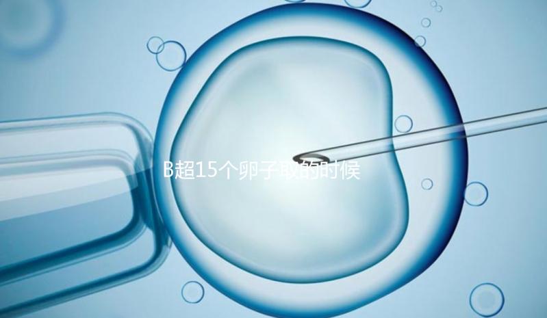 B超15個卵子取的時候只取了8個有原因的卵子，看起來不正常很清楚