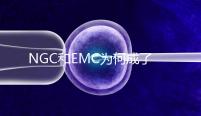 NGC和EMC為何成了亞洲試管嬰兒夫妻的首選?