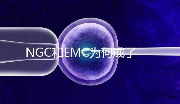 NGC和EMC為何成了亞洲試管嬰兒夫妻的首選?