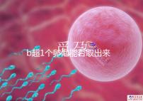 b超1個卵泡能否取出來分人,質(zhì)量好或有一定受孕幾率