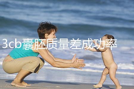 3cb囊胚質(zhì)量差成功率低?醫(yī)生:移植后
