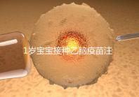 1歲寶寶接種乙腦疫苗注意事項須知，不明確這4點副作用大