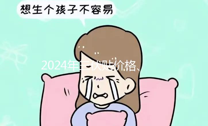 2024年三伏貼價格、品牌、單個療程費用大科普