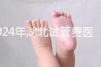 2024年湖北試管費醫療保險可以報銷?專家:時間還沒到?