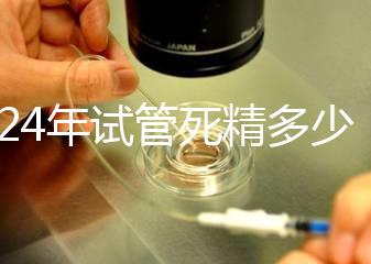 2024年試管死精多少錢?報銷政策和費(fèi)用都有