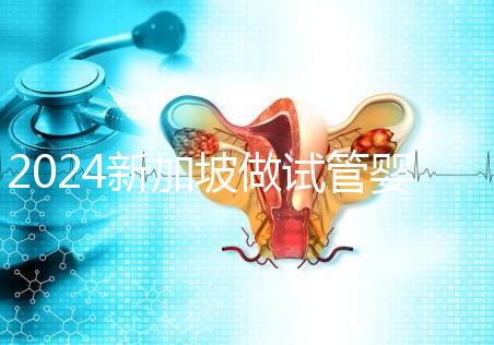 2024新加坡做試管嬰兒成功率過(guò)半!生殖大夫道出其中真相