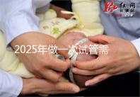 2025年做一次試管需要花費多少錢？