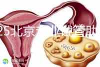 2025北京專業(yè)試管助孕機構(gòu)可靠推薦來咯,這3家超棒,快碼住!