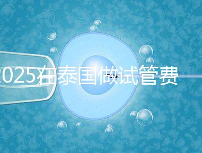 2025在泰國做試管費用預估，助孕一次不到10萬