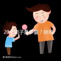 20個(gè)卵子是多囊?卵泡多≠多囊卵巢,排卵與否是關(guān)鍵